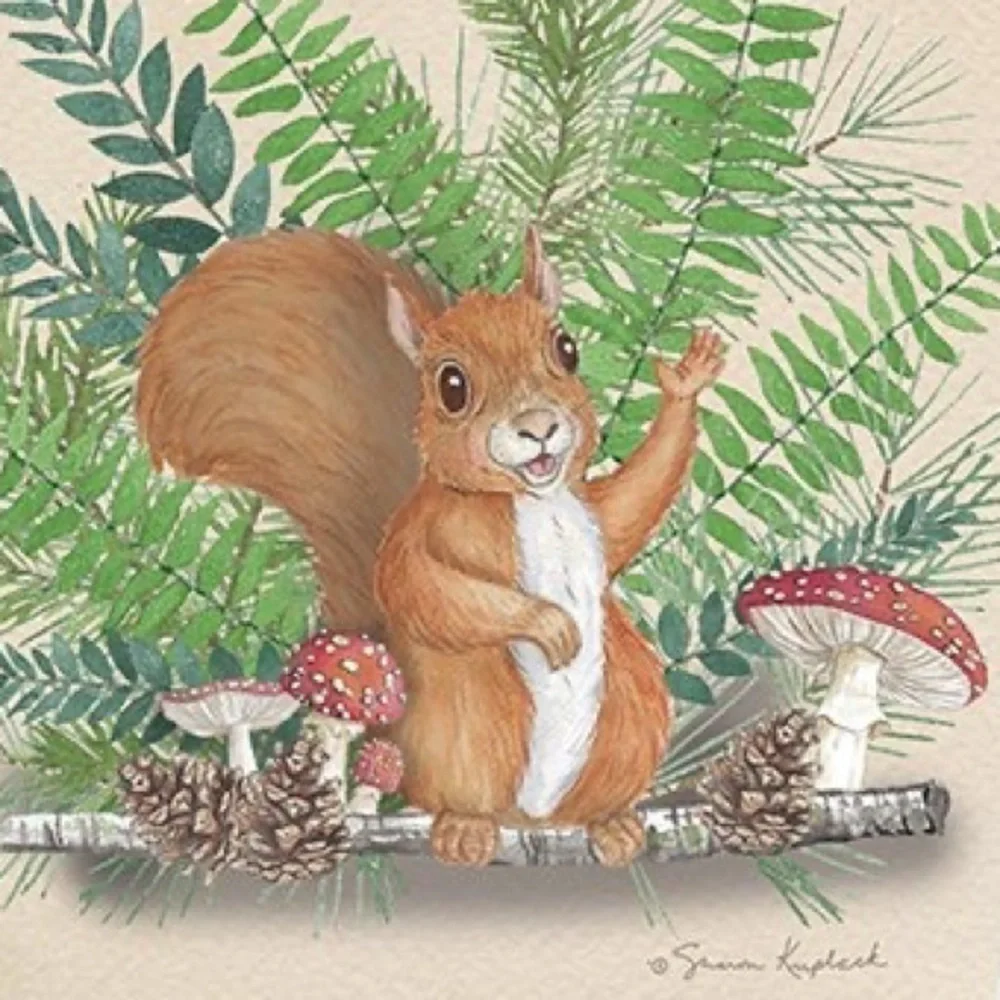 Squirrel Mushroom Birthday Greeting Card, New, For Bundles Only 🍄🐿️